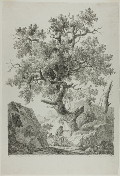 Kunstenaar in een rotsachtig landschap door Pierre Antoine Mongin
