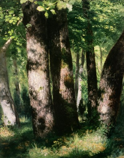 Onbekend schilderij door Pierre Auguste Renoir