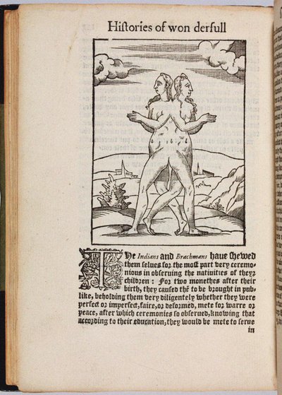 Een verzameling buitengewone verhalen Histoires prodigieuses, 1560 door Pierre Boaistuau