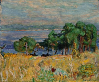 De baai van Saint-Tropez door Pierre Bonnard