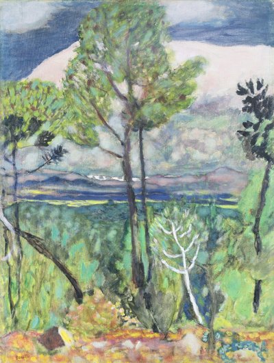 Landschap door Pierre Bonnard