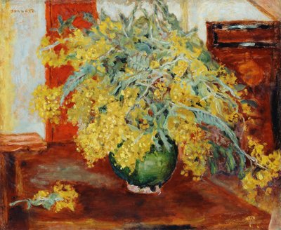 Mimosa