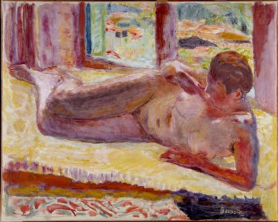 Naakte laag door Pierre Bonnard