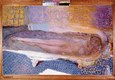 Naakt in het bad door Pierre Bonnard
