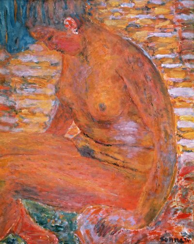 Somber naakt door Pierre Bonnard