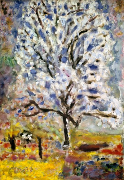 De amandelboom in bloei, 1947 door Pierre Bonnard
