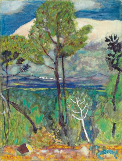 De pijnbomen, aan zee, ca. 1923 door Pierre Bonnard