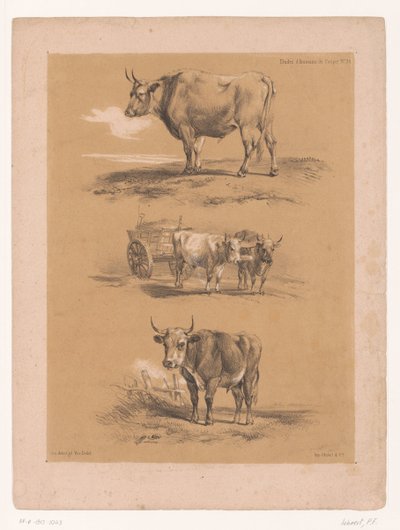 Drie studies van ossen en ossenwagen door Pierre Frédéric Lehnert