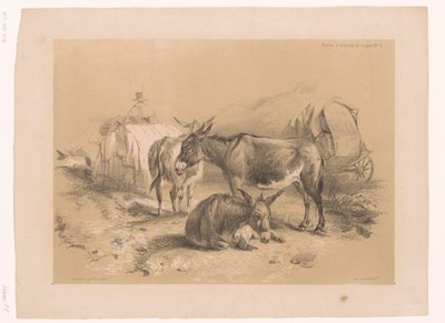 Studie van drie ezels Dierstudies van Cooper (serie titel) door Pierre Frédéric Lehnert
