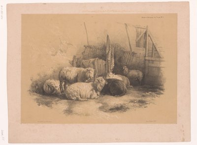 Studie van een kudde schapen bij een hek door Pierre Frédéric Lehnert