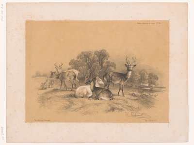 Studie van een roedel edelherten door Pierre Frédéric Lehnert