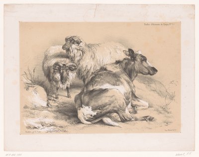 Studie van twee schapen en een koe door Pierre Frédéric Lehnert