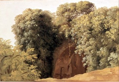 Ruïnes van een arcade met grasclusters door Pierre Henri de Valenciennes