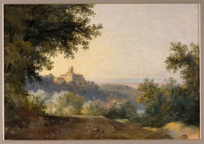 Uitzicht op Nemi - Uitzicht op Nemi ... door Pierre-Henri de Valenciennes
