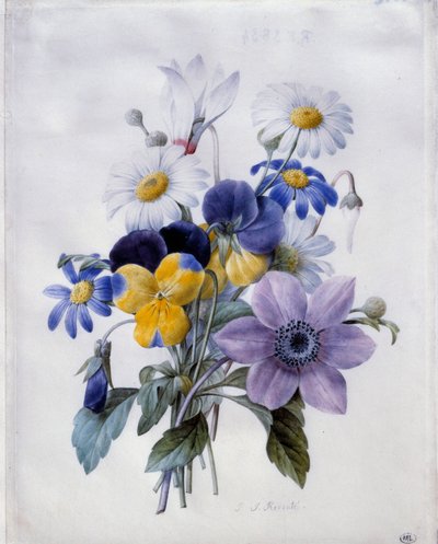 Een boeket bloemen: clematis, viooltje, madeliefje en cyclamen door Pierre Joseph Redouté