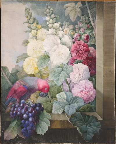 Stokrozen, druiven en een papegaai, 1836 door Pierre Joseph Redouté