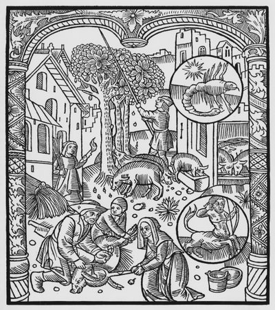 November, het varken doden en eikels oogsten, Schorpioen, illustratie uit de 