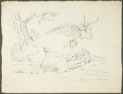 Een stier en twee schapen door Pierre Lelu