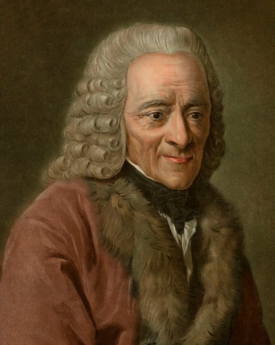 Portret van Voltaire door Pierre Michel Alix