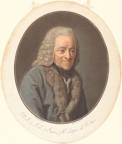 Voltaire door Pierre Michel Alix