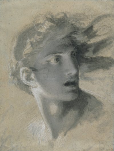 Hoofd van wraak door Pierre Paul Prud