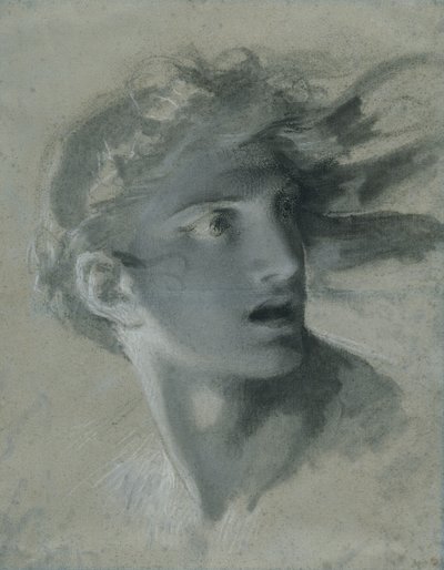 Hoofd van wraak, c.1804 door Pierre Paul Prudhon