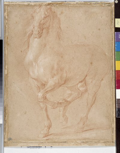 Paardenstudie door Pierre Puget