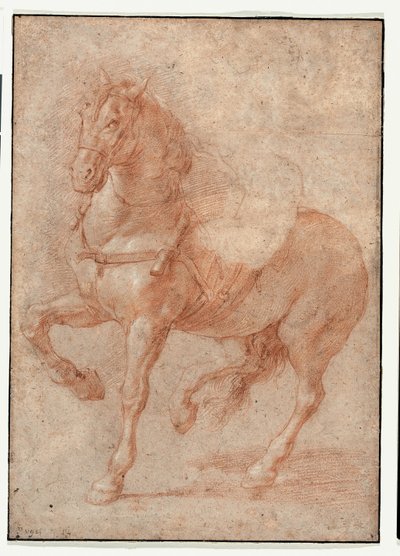 Studie van Bucephalus voor het reliëf "Alexander en Diogenes". door Pierre Puget