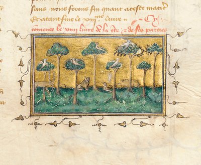 Detail van een pagina uit 