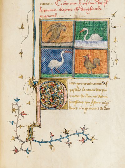 Pagina uit "De Proprietatibus Rerum" door Bartholomeus Anglicus, in de Franse vertaling van Jean Corbechon, ca. 1390 door Pierre Remiet