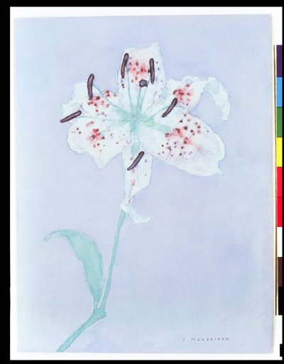 Lelie, na 1921 door Piet Mondrian