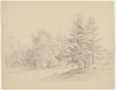 Bosgezicht met dennenbomen door Pieter Bartholomeusz. Barbiers