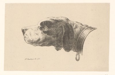 Hondenkop met halsband door Pieter Bartholomeusz. Barbiers
