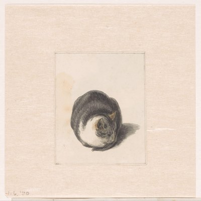 Zittende kat, van voren gezien door Pieter Bartholomeusz. Barbiers