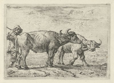 Twee buffels en een herder door Pieter Bodding van Laer
