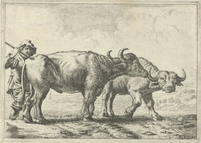 Twee buffels en een herder door Pieter Bodding van Laer