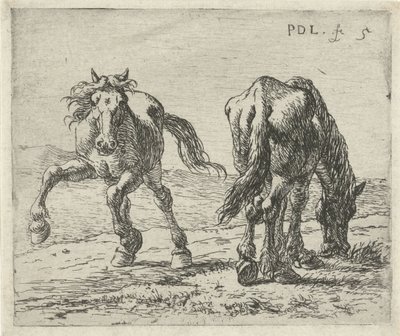 Twee paarden in een weide door Pieter Bodding van Laer