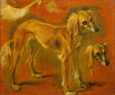 Twee studies van een windhond door Pieter or Peter Boel