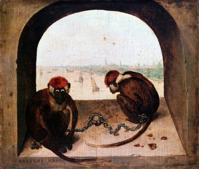 Twee apen door Pieter Bruegel the Elder
