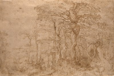 Boslandschap met vijf beren door Pieter Bruegel the Elder