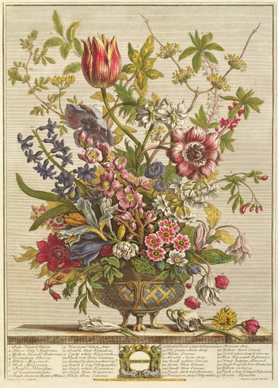 Februari, uit 