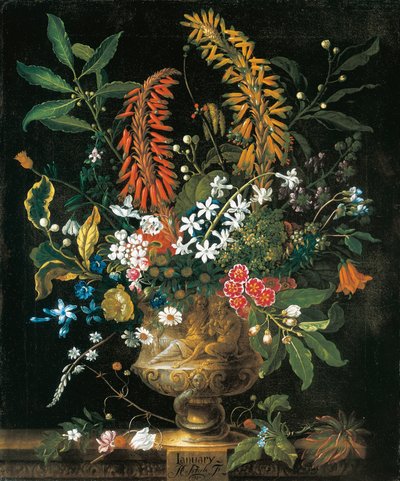 Januari, uit De Twaalf Maanden van Bloemen, een Bloemenkalender van Stillevens door Pieter Casteels