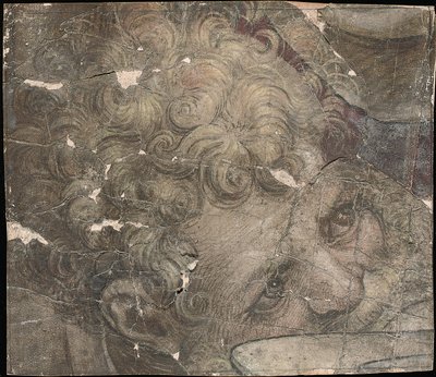 Hoofd van een bebaarde man die omhoog kijkt door Pieter Coecke van Aelst