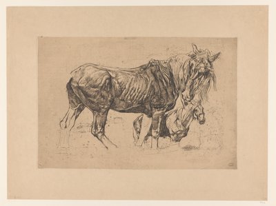 Studieblad met twee paarden door Pieter Dupont