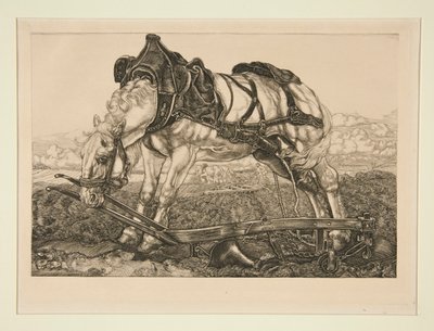 Werkpaard door Pieter Dupont