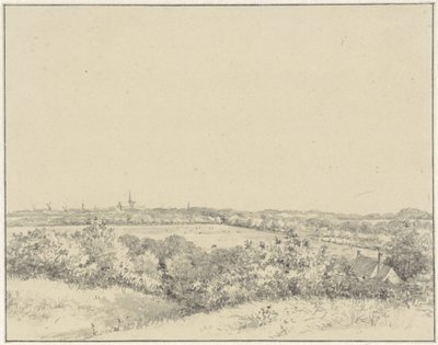 Gezicht op Haarlem, van de duinen uit gezien door Pieter Ernst Hendrik Praetorius