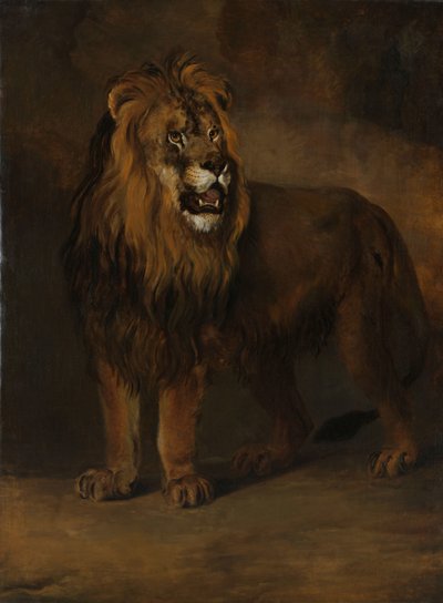 Een leeuw uit de menagerie van koning Lodewijk Napoleon, 1808 door Pieter Gerardus van Os