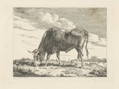 Grazende koe door Pieter Gerardus van Os
