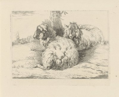 Liggende schapen door Pieter Gerardus van Os