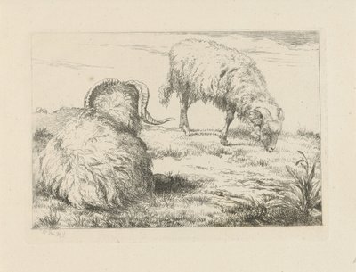 Twee rammen in de weide Schapen en geiten (serie) door Pieter Gerardus van Os